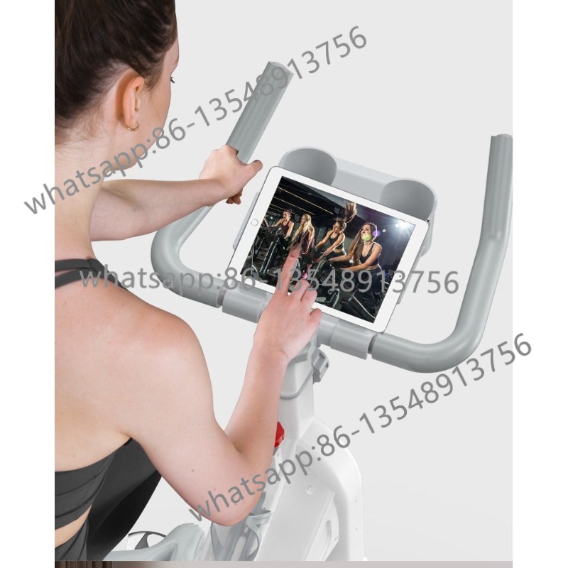 자기 저항식 스피닝 바이크, 조용한 실내 운동용 자전거 - Exercise Bike Magnetic Resistance 리뷰 및 가격